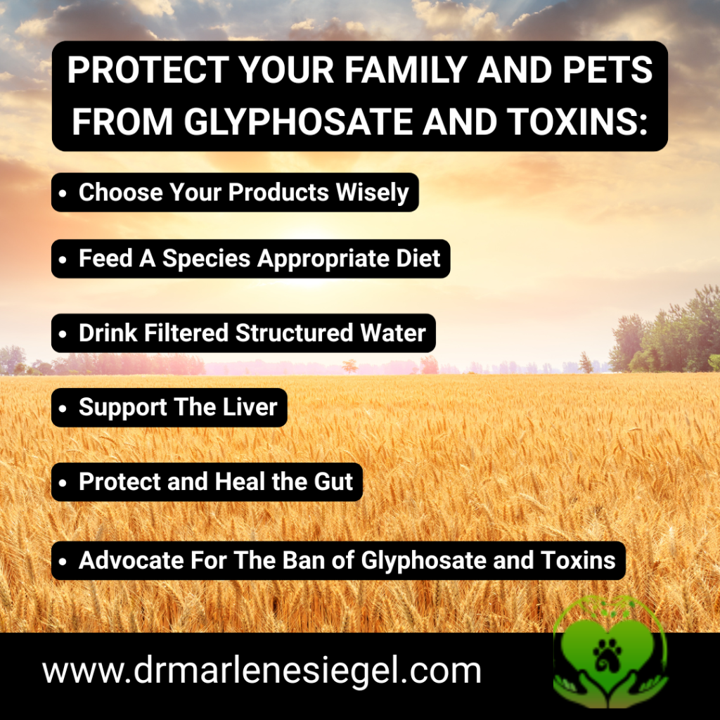 Protect Your Family and Pets From Glyphosate | Dr Marlene Siegel